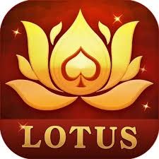 rummy mars contact number download